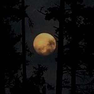 Meet your Posher, Maxim